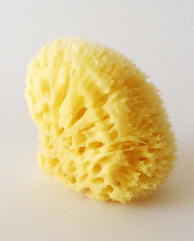 Natural Sea Sponge ARCIPELAGO (processed), 12 cm Siciliana.lt
