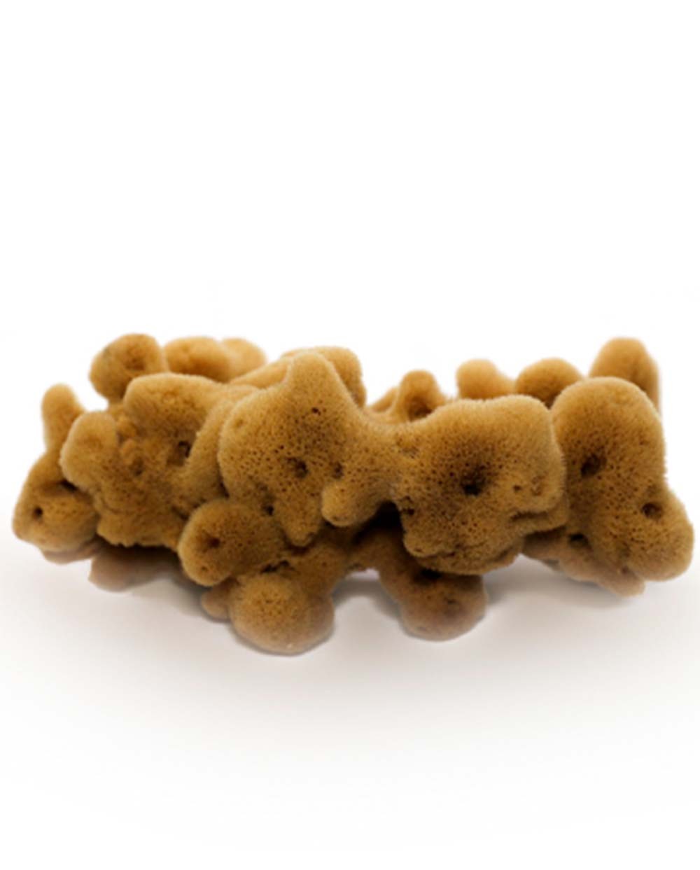 Natural Sea Sponge FINE DAMA (half-processed), 12 cm Siciliana.lt