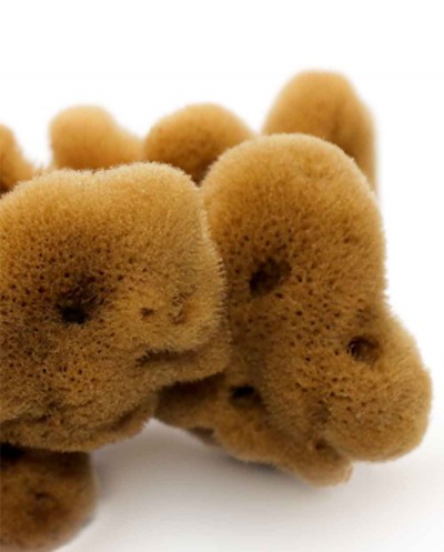 Natural Sea Sponge FINE DAMA (half-processed), 12 cm Siciliana.lt