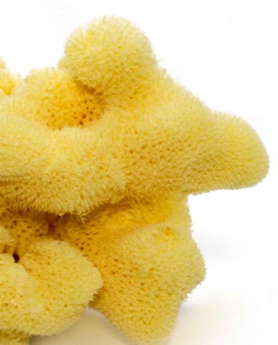 Natural Sea Sponge FINE DAMA (processed), 12 cm Siciliana.lt