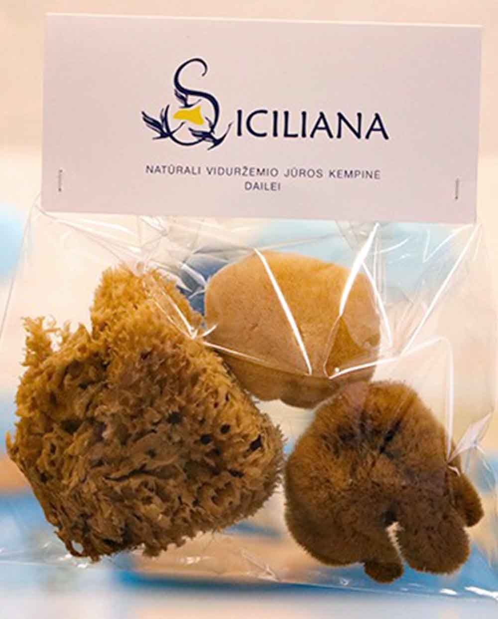Sea Sponges Kit For Arts & Crafts Siciliana.lt