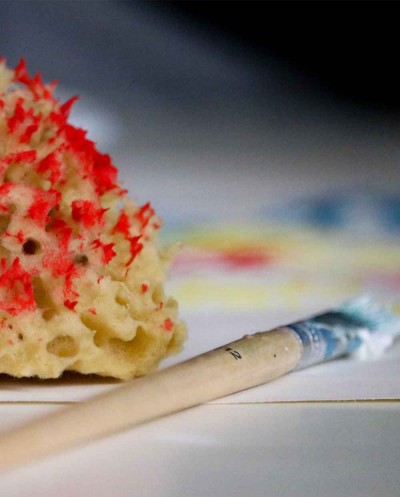 Sea Sponges Kit For Arts & Crafts Siciliana.lt